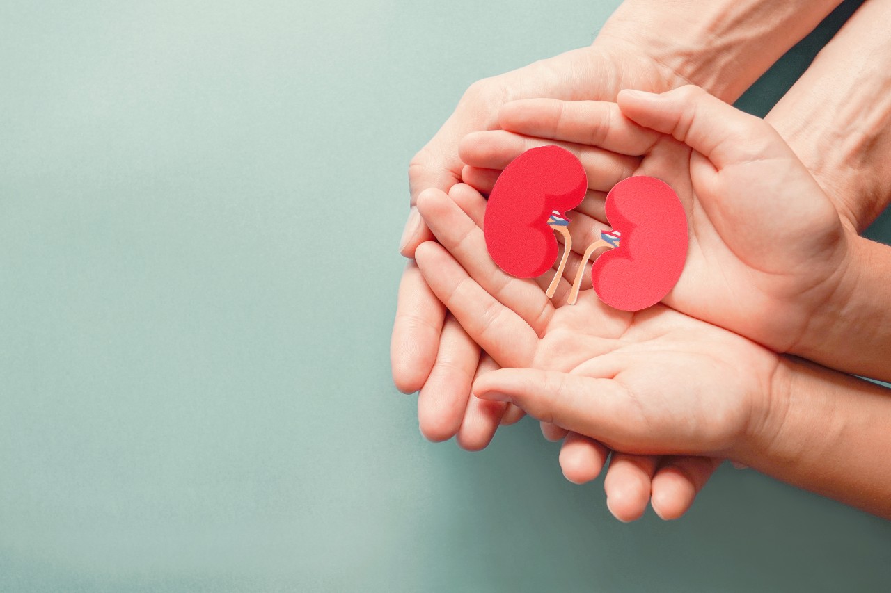 Your-chronic-kidney-disease-support-group-wetogether-care